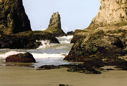 Bandon