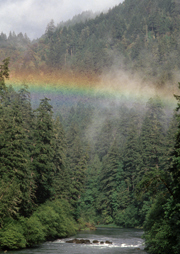 rainbow