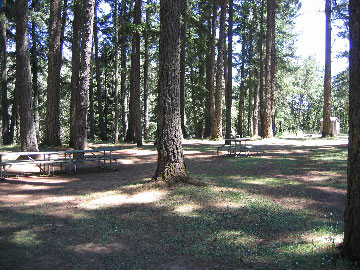 Whistlers Bend RV Park and Campground  